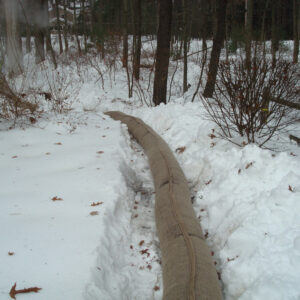 filtermitt in the snow