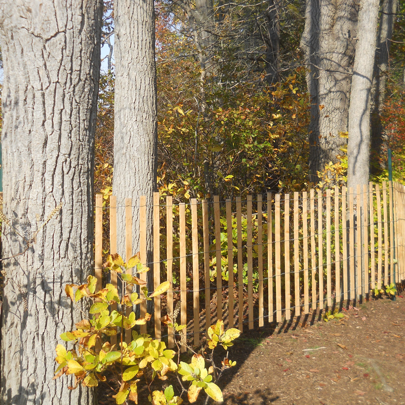wood fence in the woods