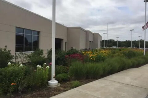 Flower beds and shrubs along a sidewalk beside a building.