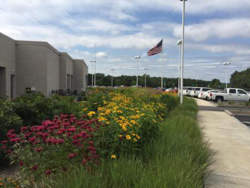 Flower beds and grasses along a sidewalk beside a building and parking lot with an American flag.