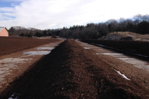Long rows of compost or soil mounds in an open outdoor area with trees in the background.