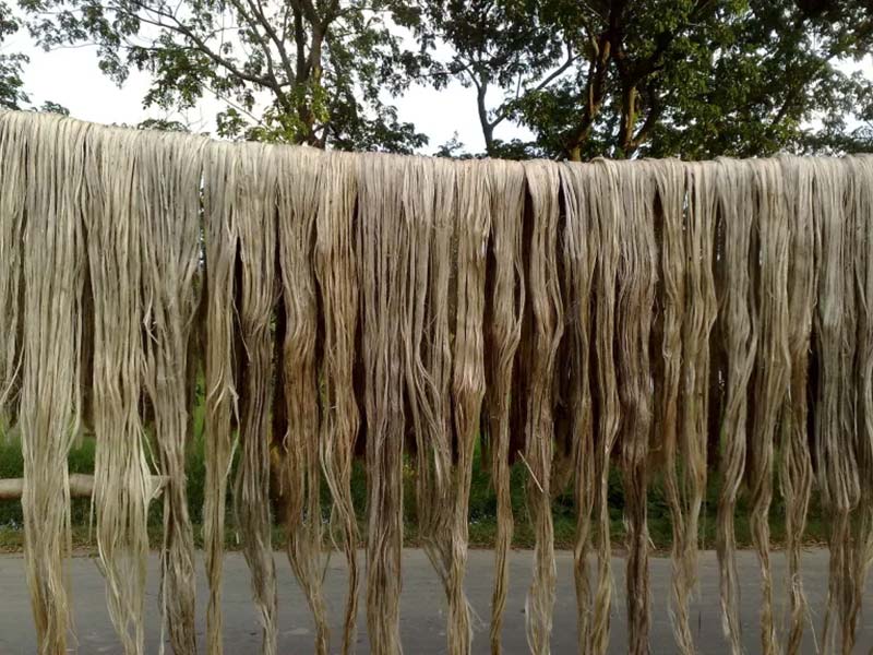 Long strands of fiber hanging on a line to dry outdoors.