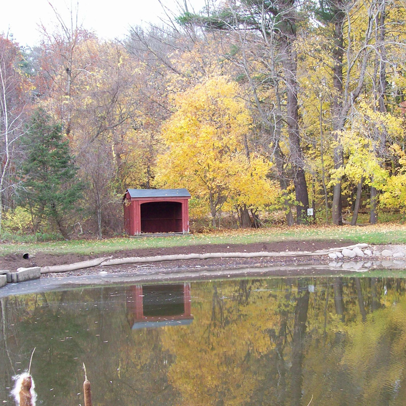 erosion control on a shoreline