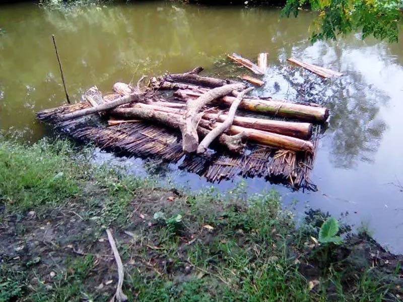 Logs and branches resting on a floating platform in a calm pond.