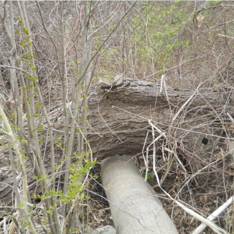 filtermitt compost tube