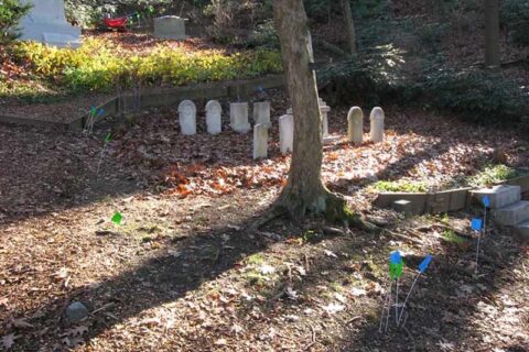 Small gravestones in a wooded area with scattered leaves, a tree trunk, and marker flags on the ground.