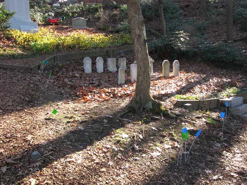 Small gravestones in a wooded area with scattered leaves, a tree trunk, and marker flags on the ground.