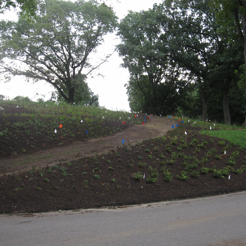 POWERBOOST-MULCH-MOUNT-AUBURN-CEMETARY-8-15-07-(8)