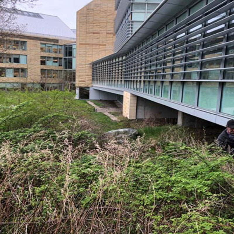 retention pond clean up